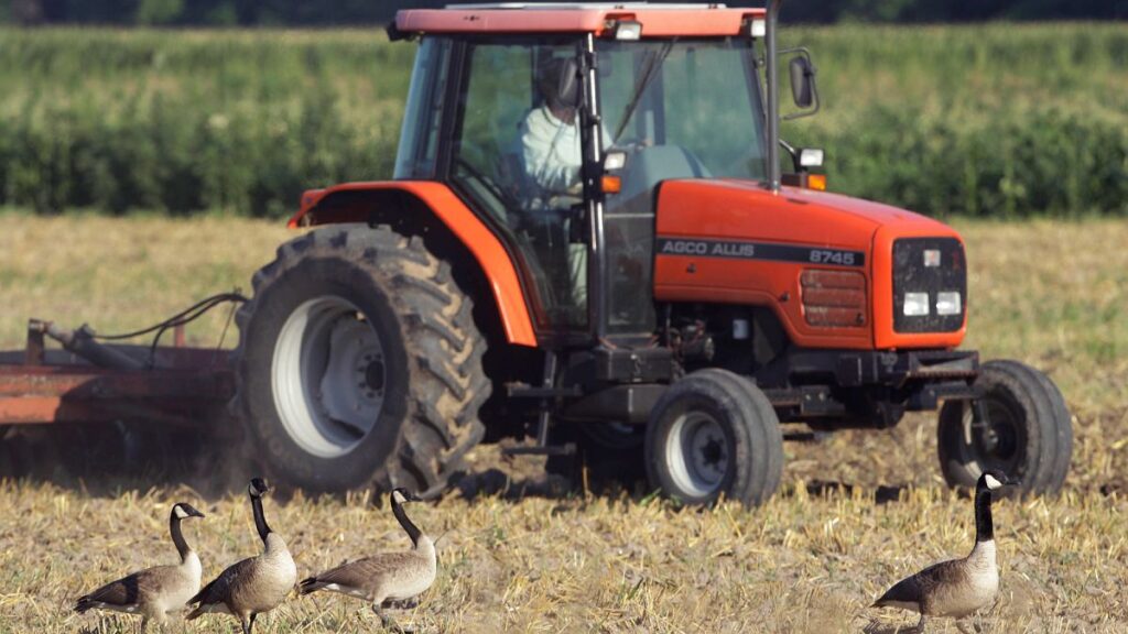 Komissio paljastaa tärkeän suunnitelman EU: n maatalouden sääntökirjan yksinkertaistamiseksi