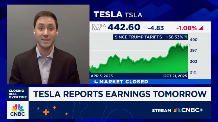 Tesla: Miksi Morningstarin analyytikko Seth Goldsteinilla on osakkeen myyntiluokitus