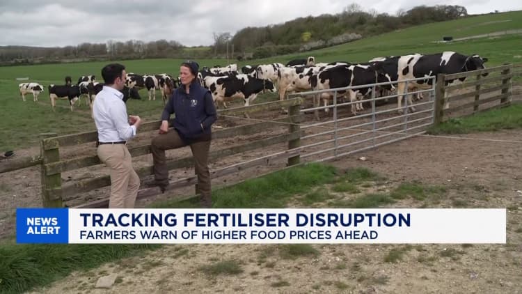 Viljelijät kohtaavat hintojen nousun lannoitteiden puutteen vuoksi